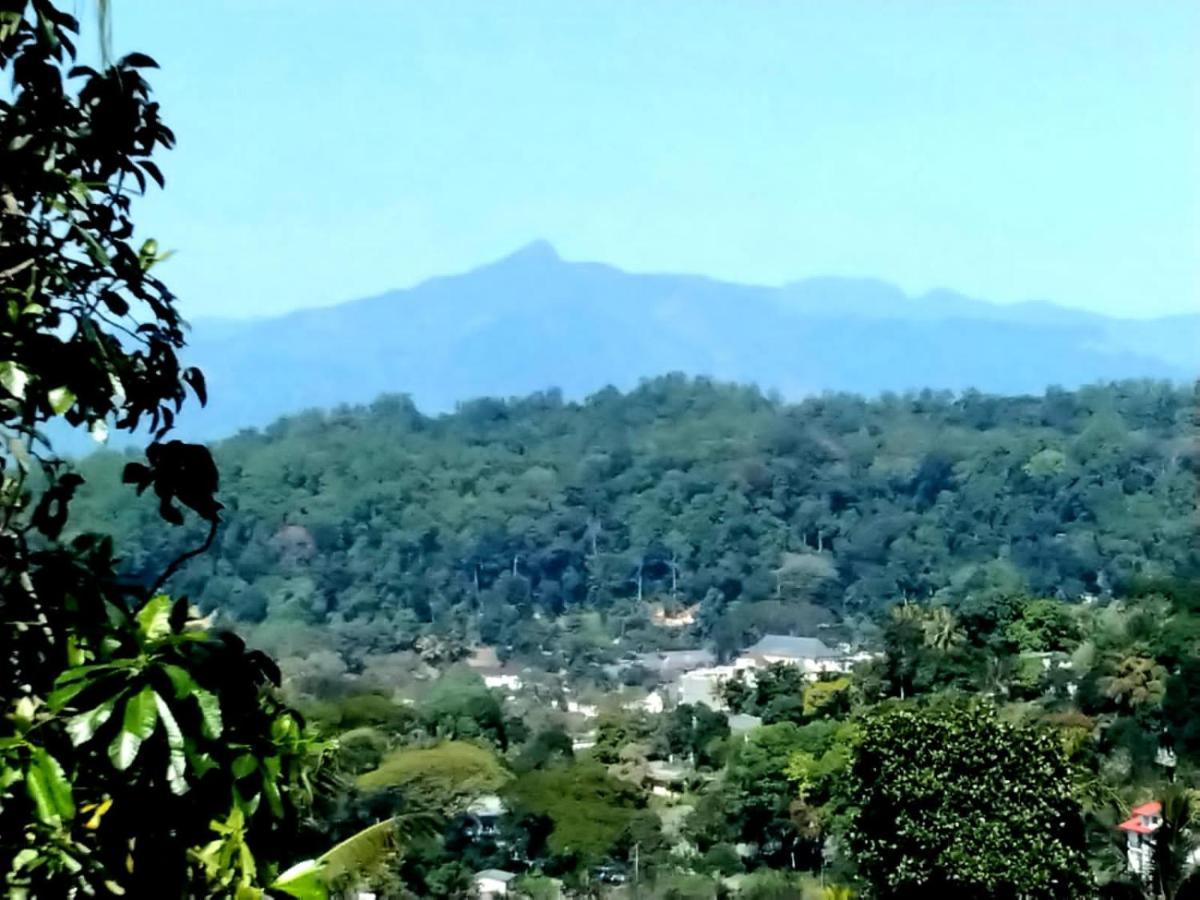 Jily Stay Kandy Bagian luar foto